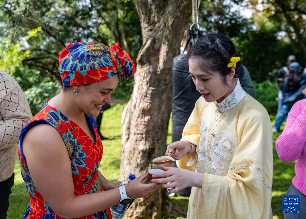 约翰内斯堡举行“国际中文日”活动
