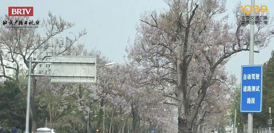 有马拉松，三场！北京周末交通管理措施提前看→
