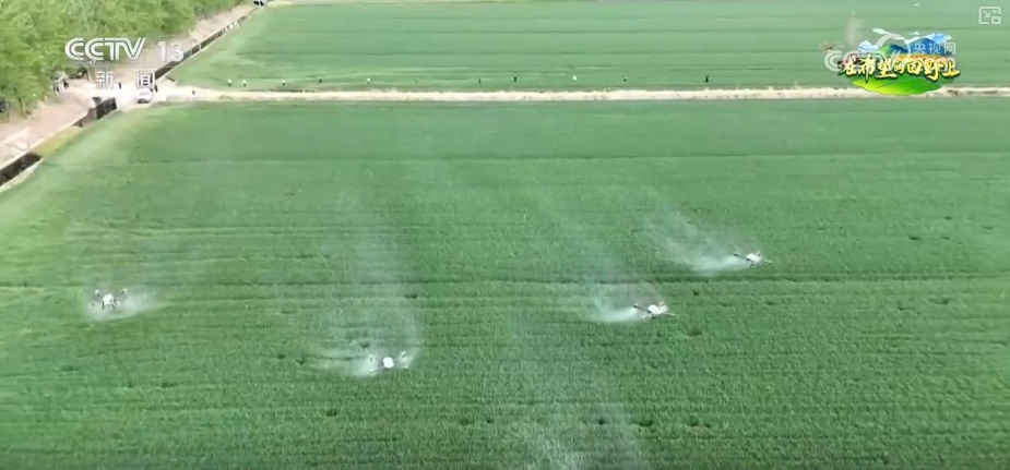 “科技+服务”助力“慧”好“春耕图” 科技显身手夯实丰收基础 “科技+服务”助力“慧”好“春耕图” 科技显身手夯实丰收基础