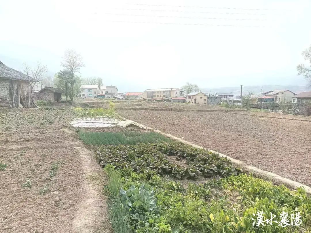 面积约100000m²！襄阳一地发现新石器时代文化遗址！