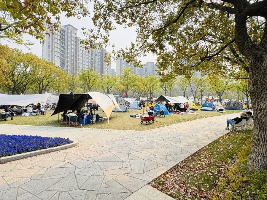 事发上海！有人被割伤，密密麻麻！世博文化公园5月1日起禁止