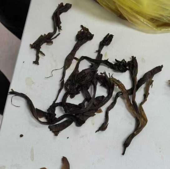 “具有强烈毒性”,广州母子双双进ICU抢救!一定要听劝:路边的不要买,更不要吃 “具有强烈毒性”,广州母子双双进ICU抢救!一定要听劝:路边的不要买,更不要吃