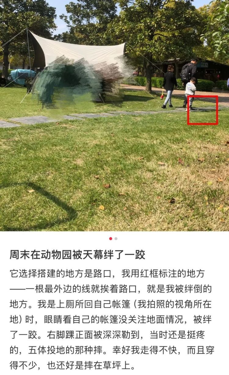 事发上海！有人被割伤，密密麻麻！世博文化公园5月1日起禁止使用风绳和地钉