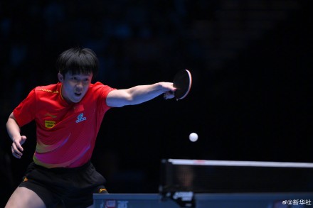 祝贺！王楚钦澳门世界杯晋级四强