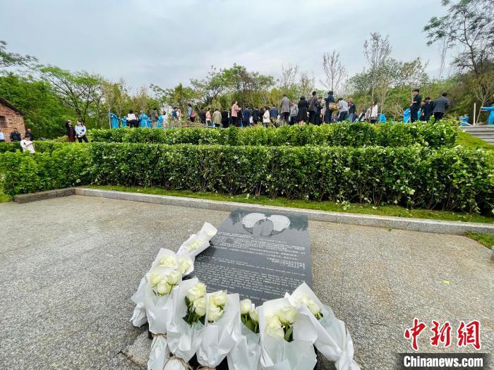 一碗鸡蛋面的故事，为什么让这位美国老人哽咽？