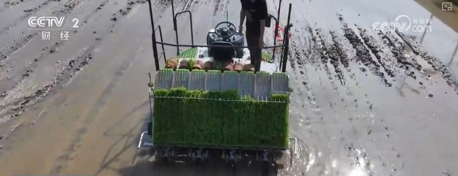 “科技+服务”助力“慧”好“春耕图” 科技显身手夯实丰收基础 “科技+服务”助力“慧”好“春耕图” 科技显身手夯实丰收基础