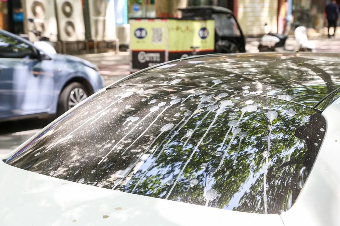 对于“天屎之路”,除了“忍一忍”还能做点啥? 对于“天屎之路”,除了“忍一忍”还能做点啥?