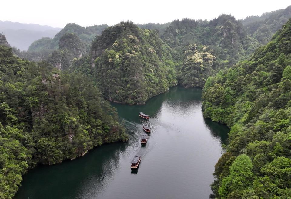 湖南张家界：春意盎然，旅游升温