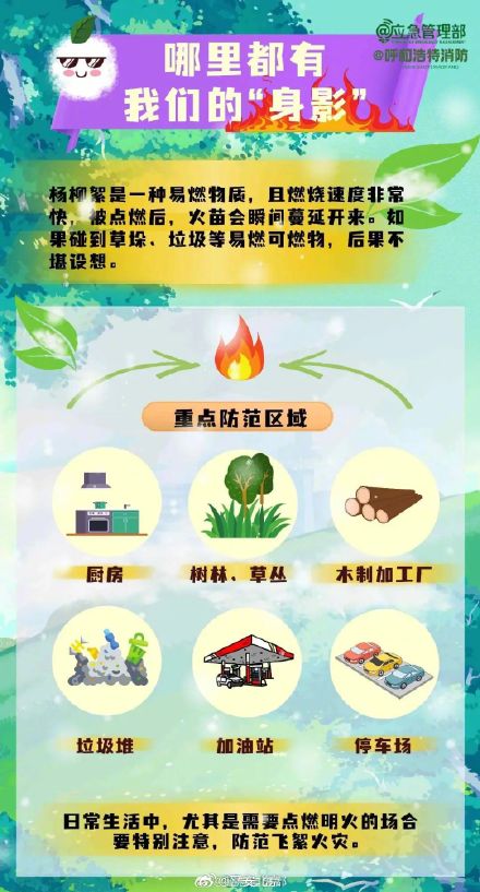 北京发布2025年杨柳飞絮第二个高发期预报