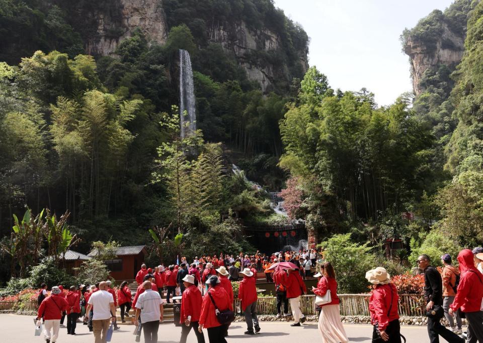 湖南张家界：春意盎然，旅游升温