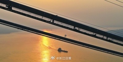 武汉江豚湾半个月出现20多头江豚