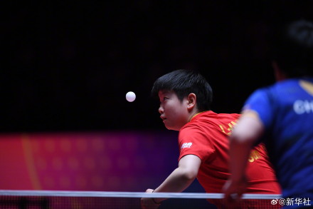 祝贺！孙颖莎澳门世界杯晋级四强