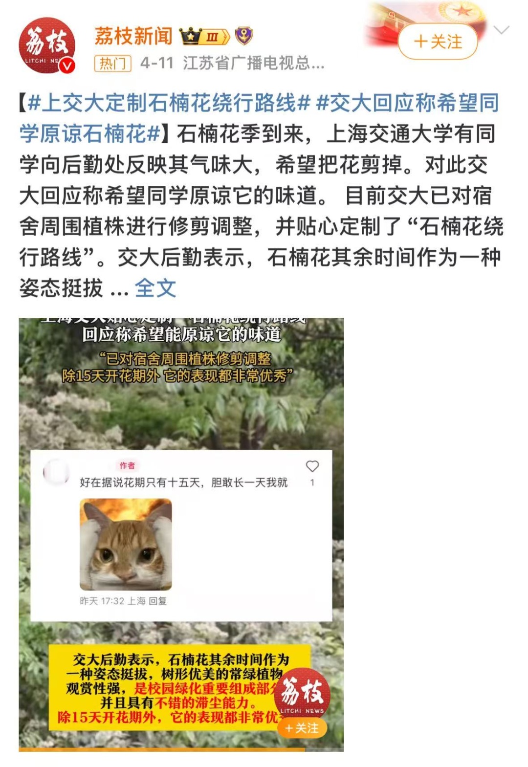 街头突然"大爆发"，熏得想吐！像臭鱼烂虾泡在杏仁奶里…腥臭不可描述