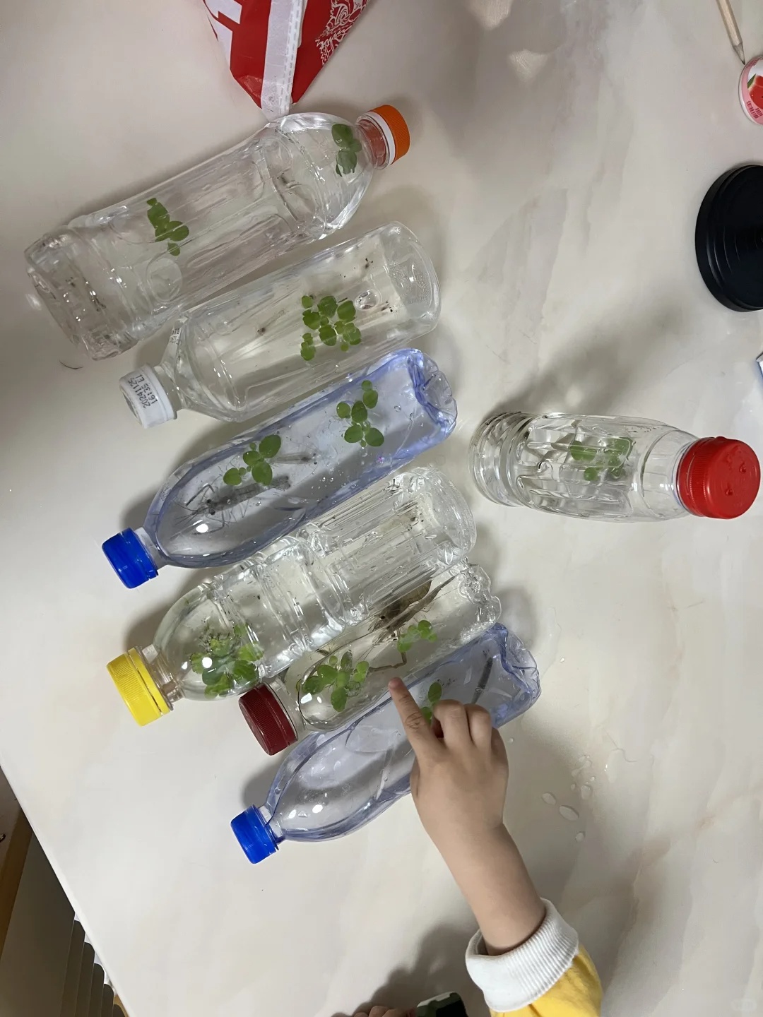 “独臂叔叔”烧烤摊,1元小鱼的后续!看得人“哈特软软” “独臂叔叔”烧烤摊,1元小鱼的后续!看得人“哈特软软”