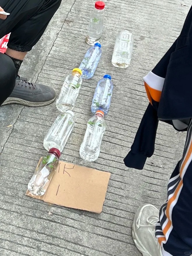 “独臂叔叔”烧烤摊,1元小鱼的后续!看得人“哈特软软” “独臂叔叔”烧烤摊,1元小鱼的后续!看得人“哈特软软”