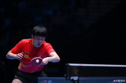 祝贺！王楚钦澳门世界杯晋级四强
