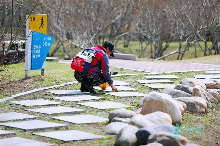 公园绿地的野菜慎挖！别让“尝鲜”变“尝险”