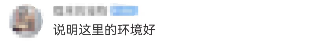 对于“天屎之路”,除了“忍一忍”还能做点啥? 对于“天屎之路”,除了“忍一忍”还能做点啥?