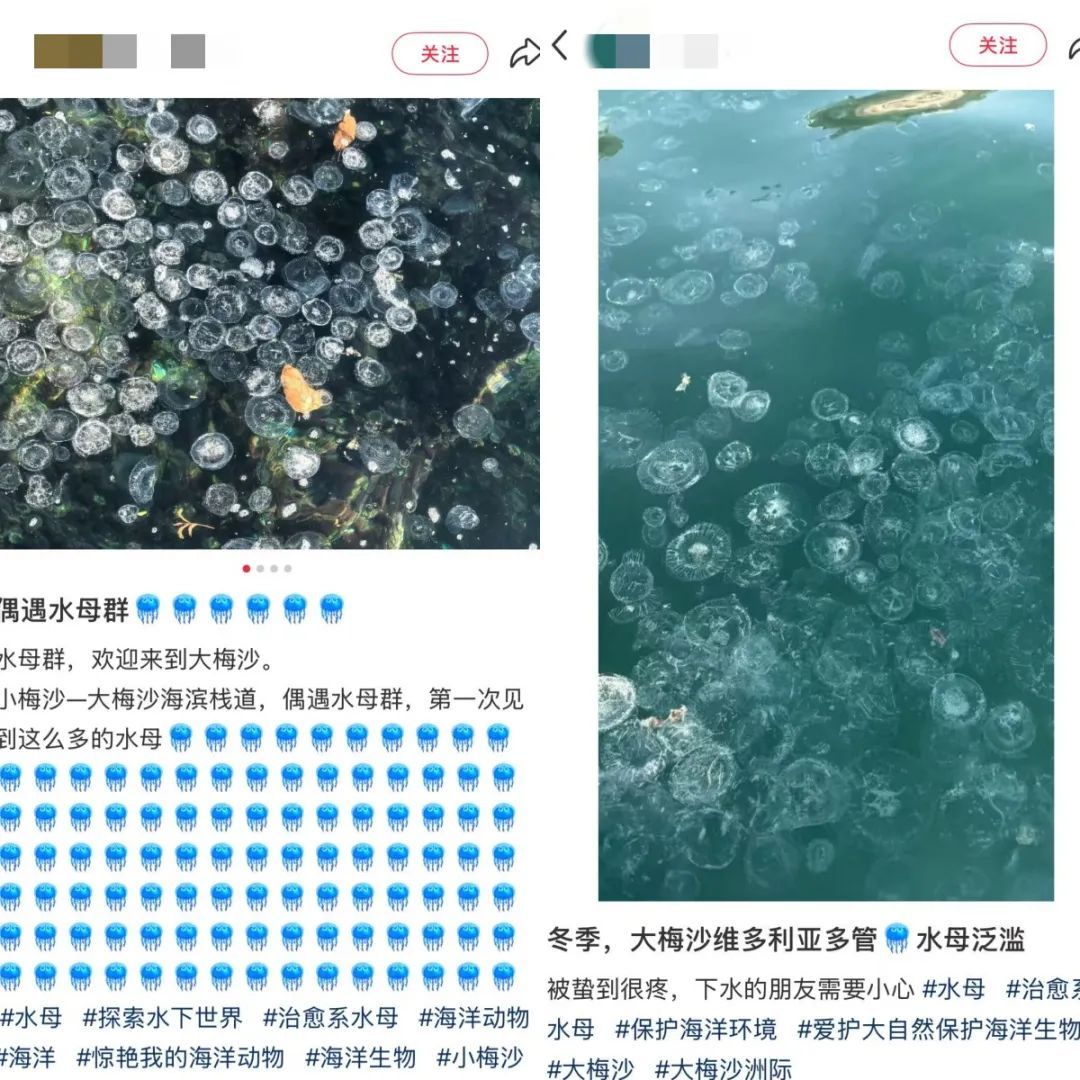 不要碰！已大面积出现，严重可致死！