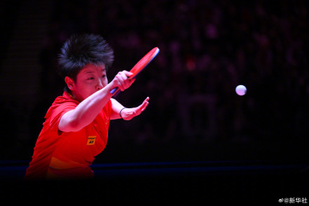 祝贺！孙颖莎澳门世界杯晋级四强