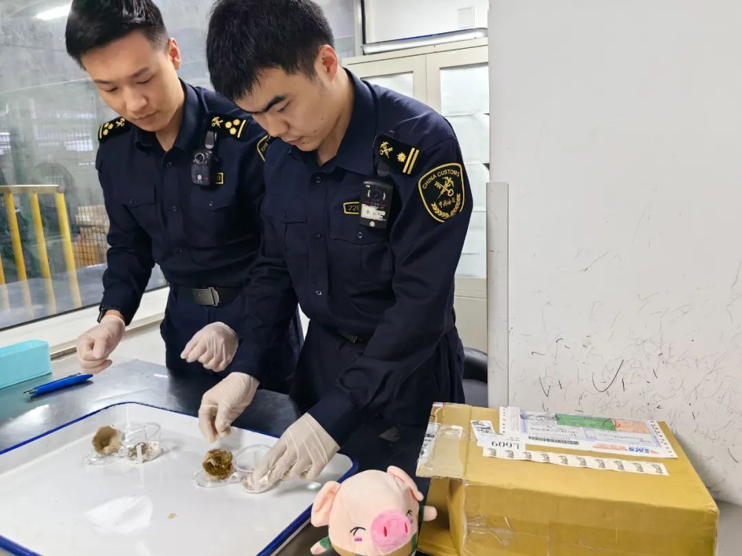 别乱买！截获量猛增200%，有“异宠”可致成年人心脏骤停