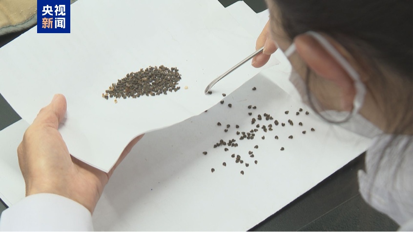 国家植物种质资源库主体建筑年内落成 2026年底试运营