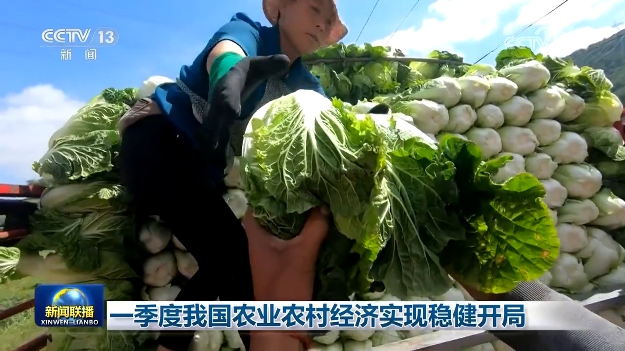 一季度我国农业农村经济实现稳健开局