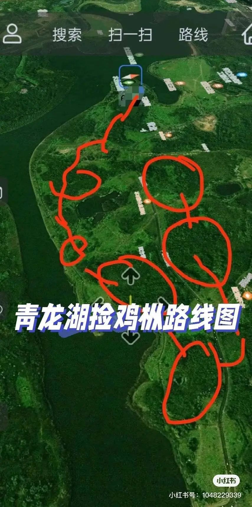 突然又火了！成都有人组团开捡，多方提醒：危险！