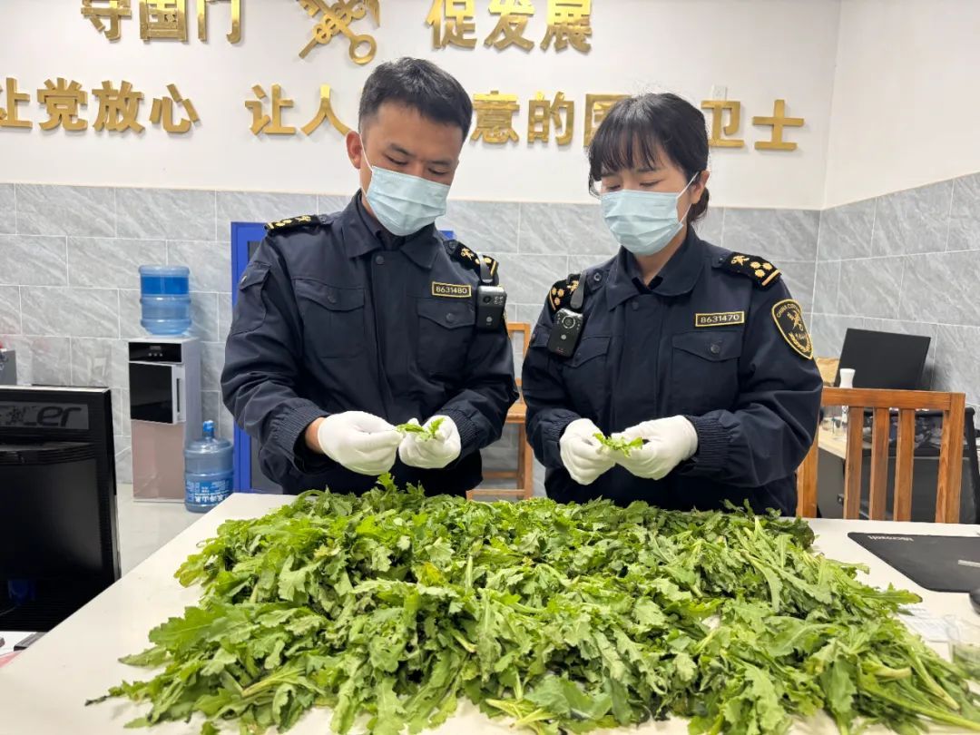 检出吗啡阳性！铺了满满一桌……网友：怎么敢啊