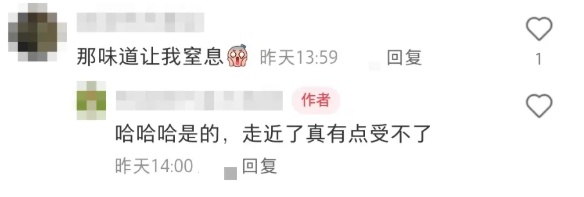 多地街头正大量盛开!气味难以描述,重庆网友:闻到头晕…… 多地街头正大量盛开!气味难以描述,重庆网友:闻到头晕……