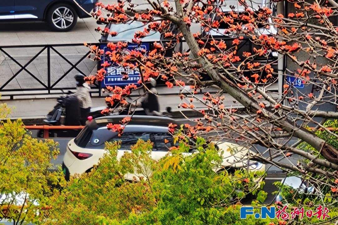别捡！别吃！福州街头大量出现！