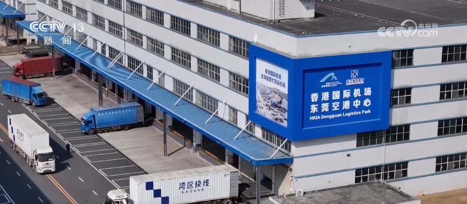 “香港服务+湾区制造”粤港合作为货物通达世界按下“加速键”
