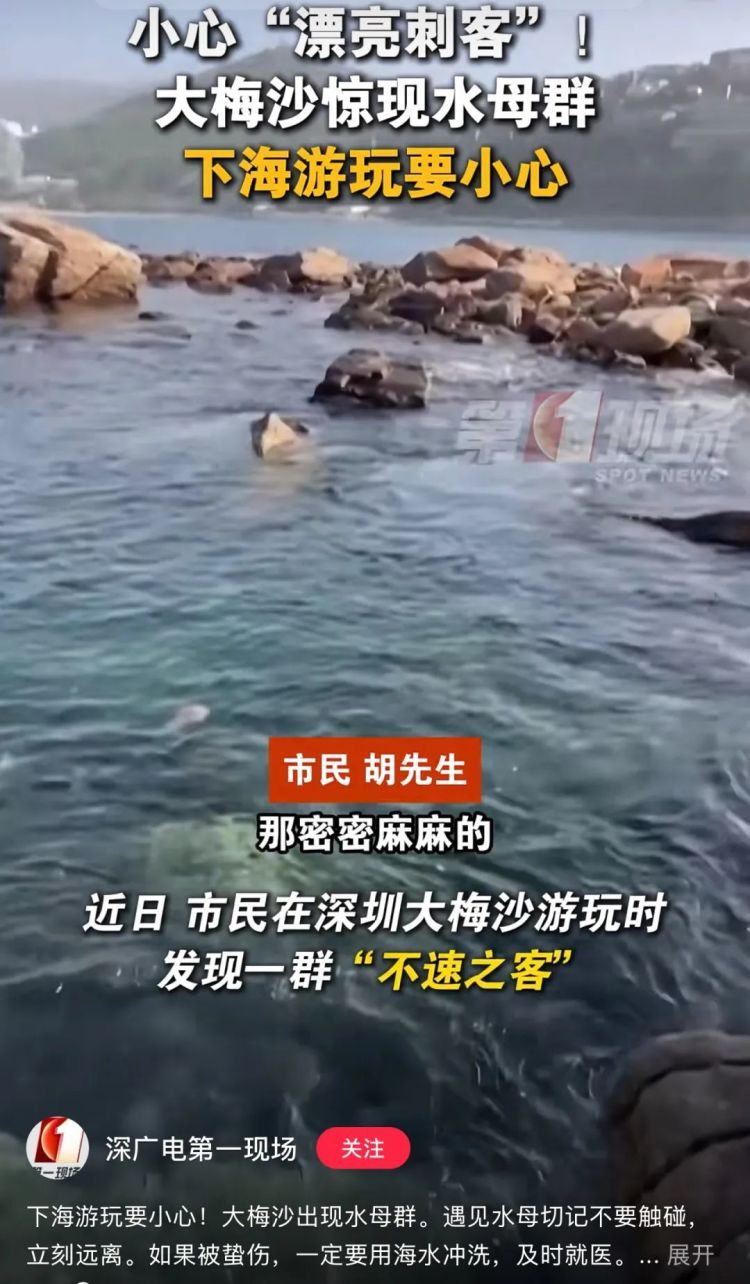“像塑料袋又像气球”，广东这些地方已出现，专家提醒：有毒！立即远离