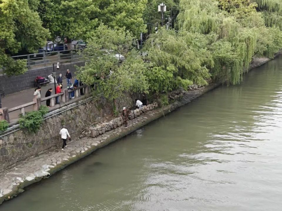 杭州老人坠河，男子跳河救人发现水太深：甩鱼竿把人拉向岸边