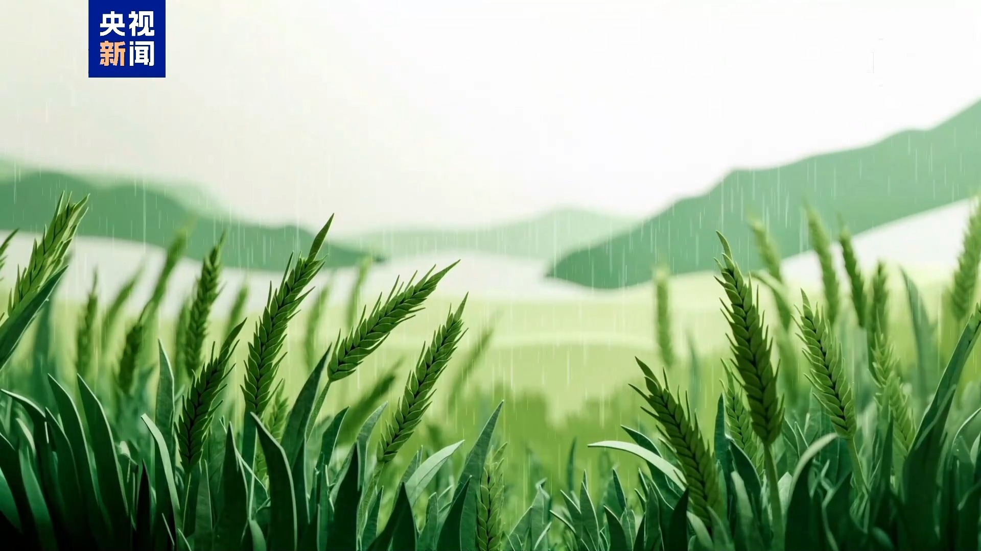 谷雨丨雨润百谷 万物逢时