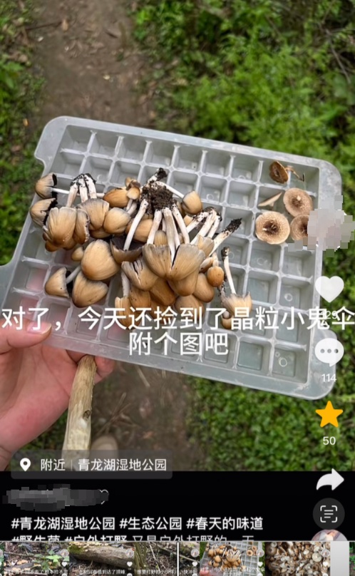 突然又火了！成都有人组团开捡，多方提醒：危险！