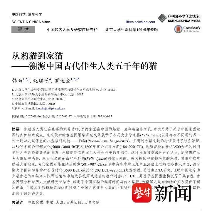 你的“猫主子”竟在隋唐时期才到中国！东汉以前中国“家猫”主要是豹猫