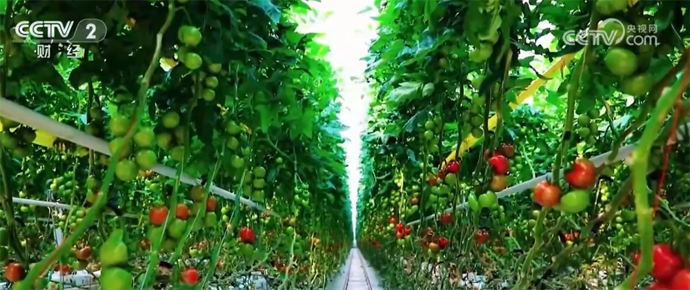 稳中有进+稳健开局！透过数据看中国经济“稳”有支撑、“进”有动力