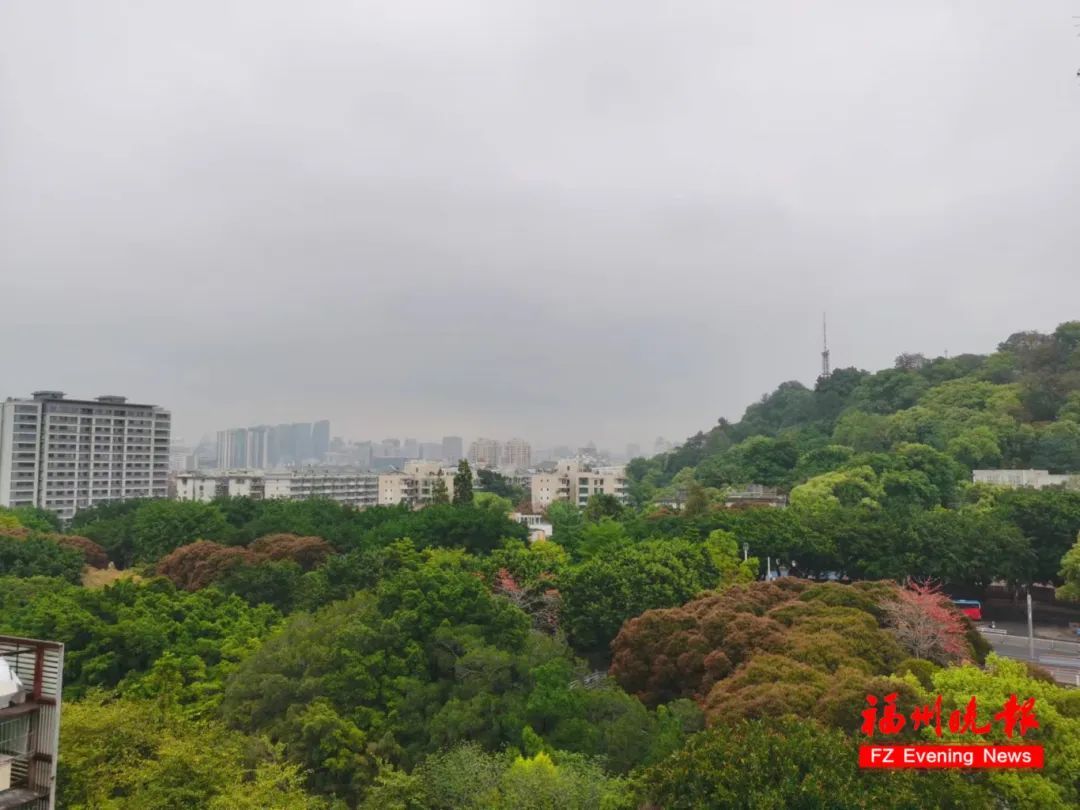 已抵达福建！暴雨、雷电、大风、冰雹！今天出门的注意