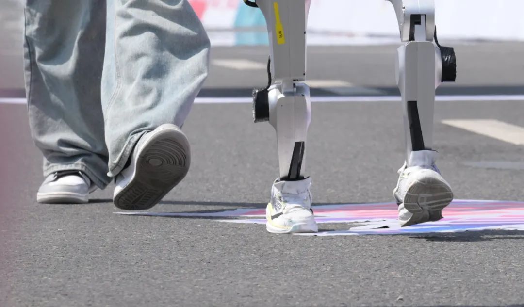 电影里都没演过的场景,竟然被我看到了! 电影里都没演过的场景,竟然被我看到了!