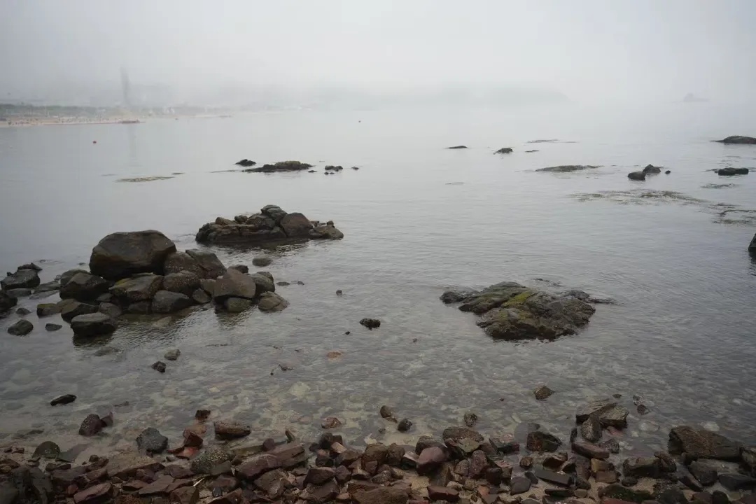 像塑料袋又像气球!专家:立即远离 像塑料袋又像气球!专家:立即远离