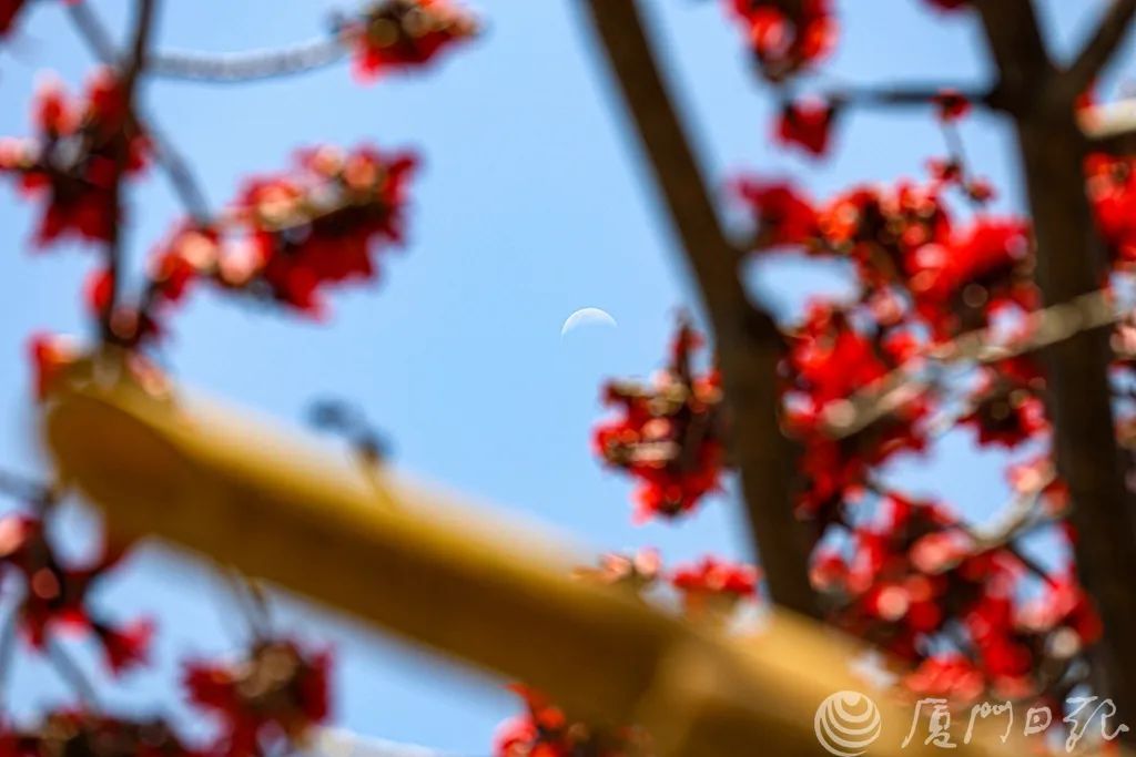 别捡！别吃！厦门街头正大量出现！