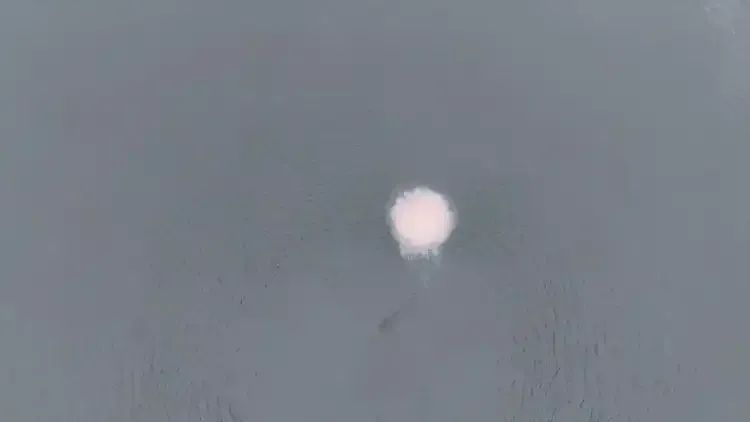 “像塑料袋又像气球”,广东已出现 “像塑料袋又像气球”,广东已出现