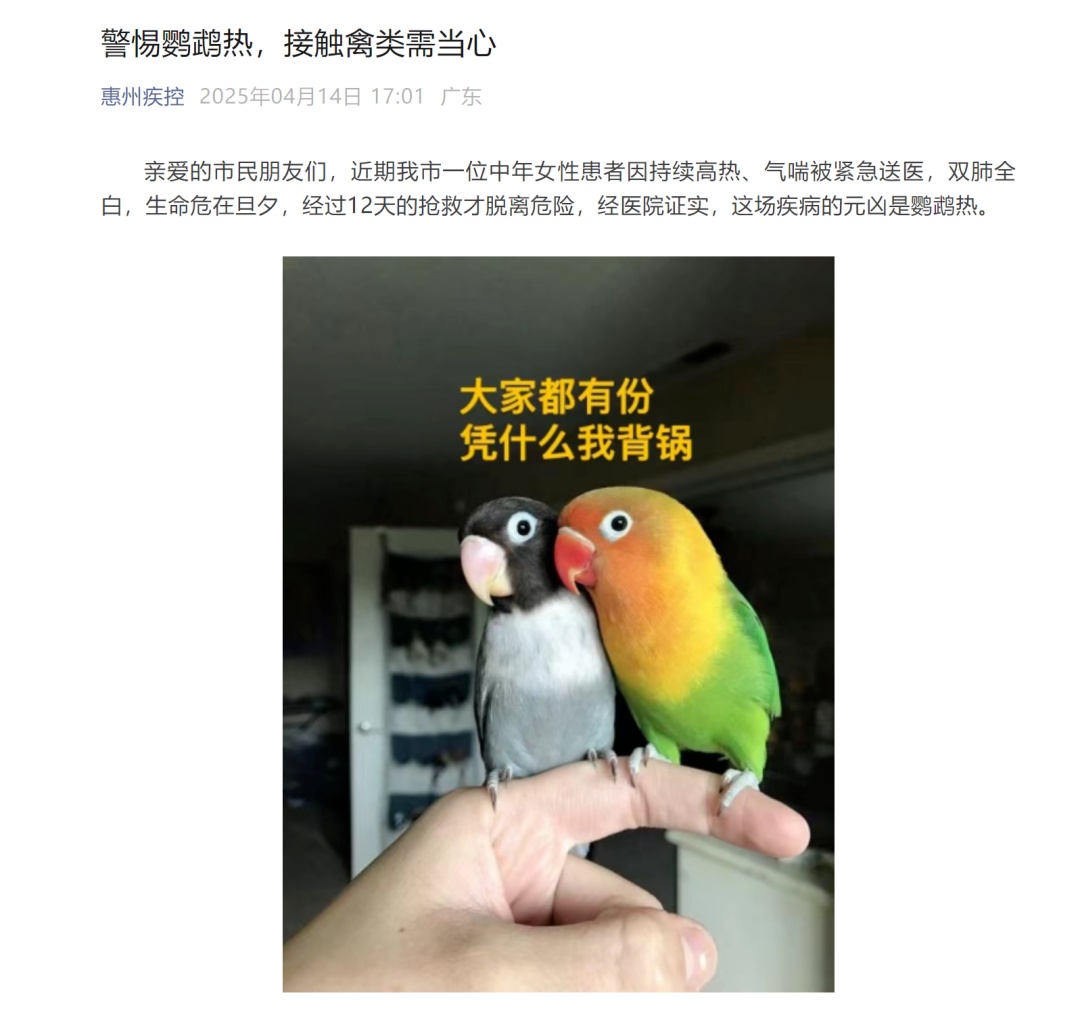 女子双肺全白,抢救12天!医生提醒:早期症状很像感冒,千万别硬扛! 女子双肺全白,抢救12天!医生提醒:早期症状很像感冒,千万别硬扛!