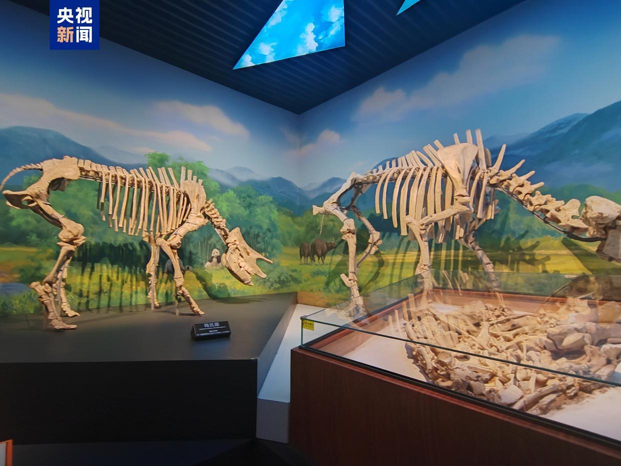 探索“古生物+”模式 重庆古生物研究院挂牌成立