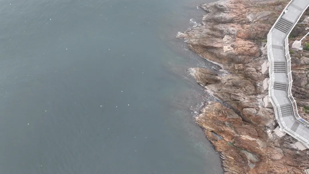 像塑料袋又像气球!专家:立即远离 像塑料袋又像气球!专家:立即远离