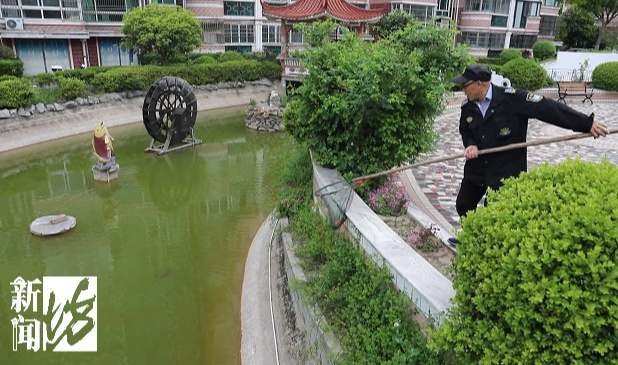 上海一小区出现大量外来物种!近期数量激增,官方紧急提醒 上海一小区出现大量外来物种!近期数量激增,官方紧急提醒