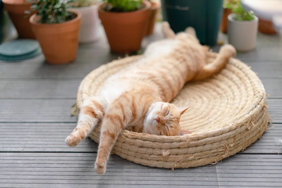 你每一次生的气，都会“留”在甲状腺里