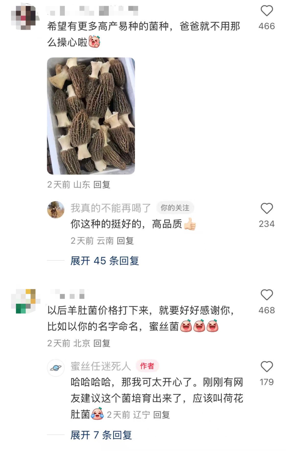 荷花缸里长出羊肚菌，中科院博士“千里求菌” ！网友：坐等羊肚菌自由