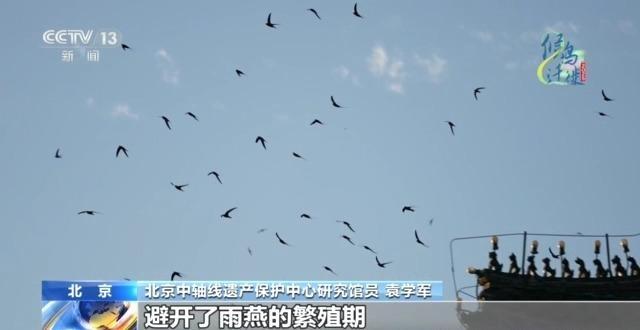 想知道北京雨燕的“安家指南”和“育儿宝典”吗?速来围观 想知道北京雨燕的“安家指南”和“育儿宝典”吗?速来围观